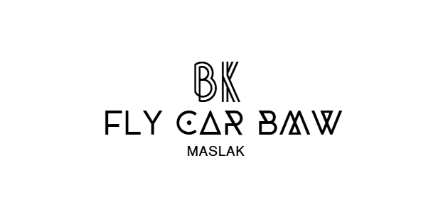 FLYCAR BMW
